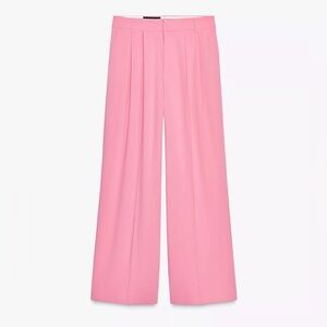 Zara Wide-Leg Pants
